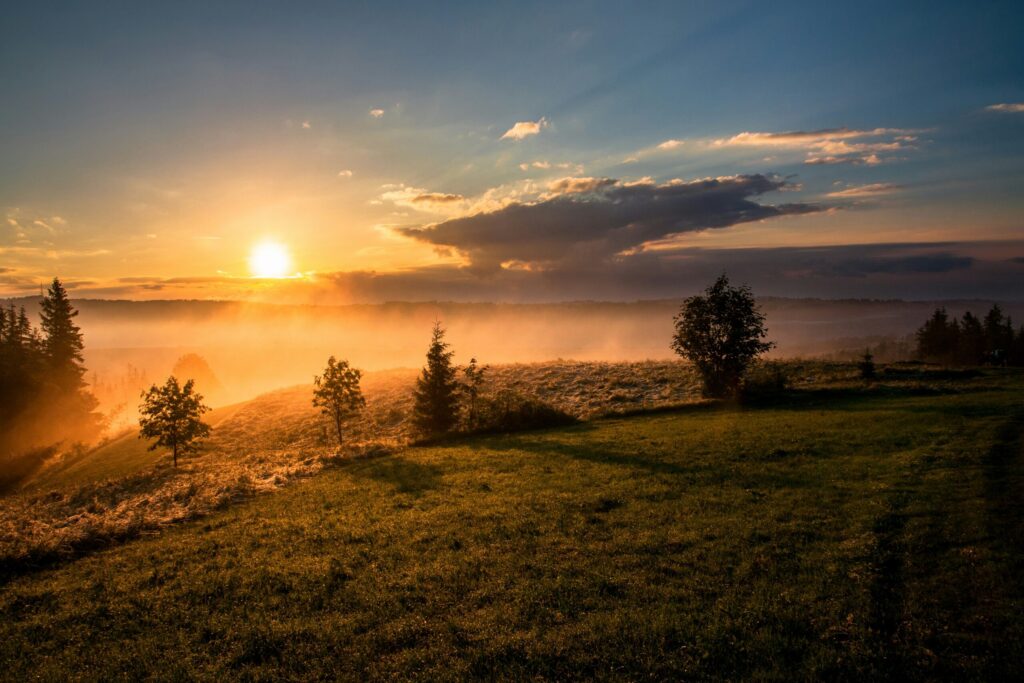dawid-zawila--Judith-Sonnenuntergang
